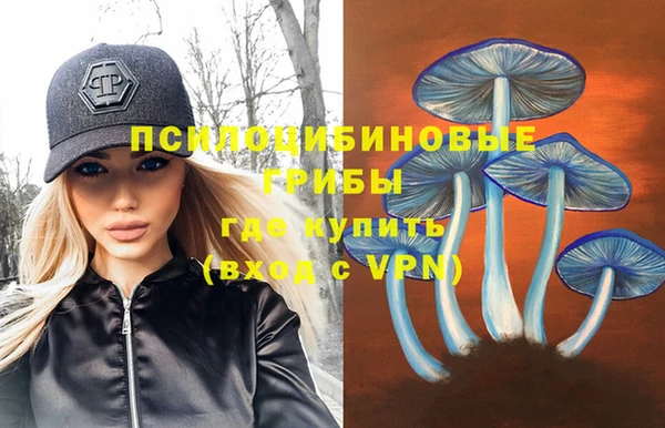 молекула духа Армянск