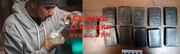 стаф Арсеньев