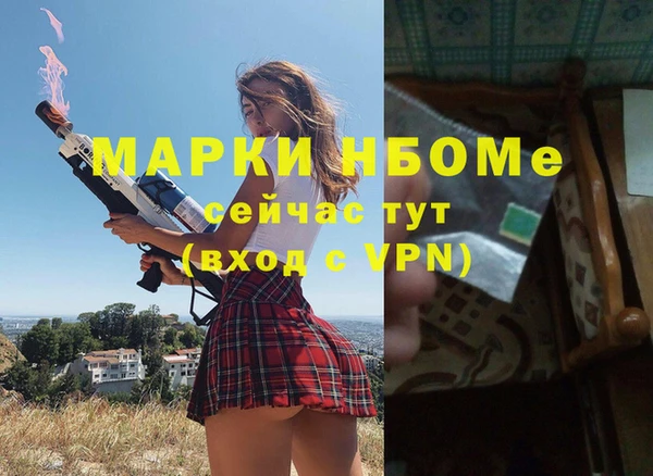 стаф Арсеньев