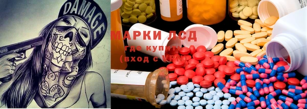 стаф Арсеньев
