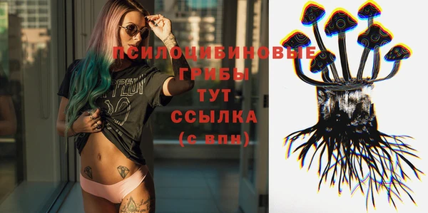 молекула духа Армянск