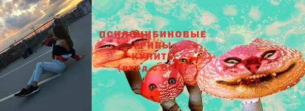стаф Арсеньев
