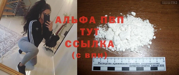 стаф Арсеньев