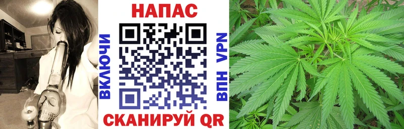 дарнет шоп  Фатеж  ОМГ ОМГ   Канабис план 